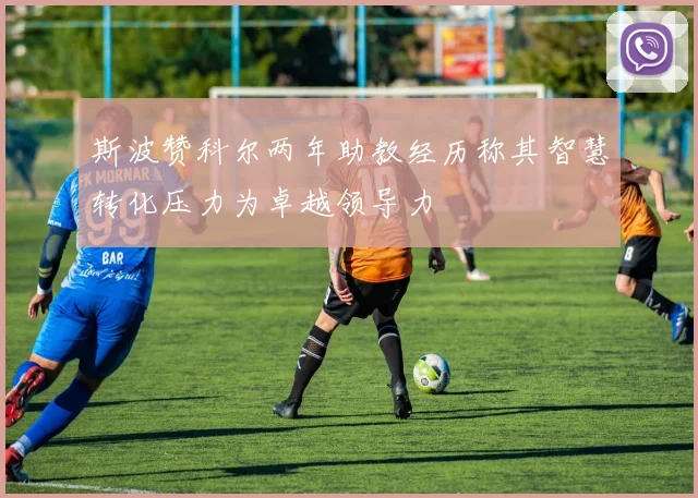斯波赞科尔两年助教经历称其智慧转化压力为卓越领导力