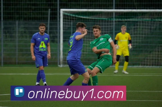 在线买球网站APP 封面图